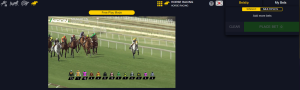 Wedden op paarden